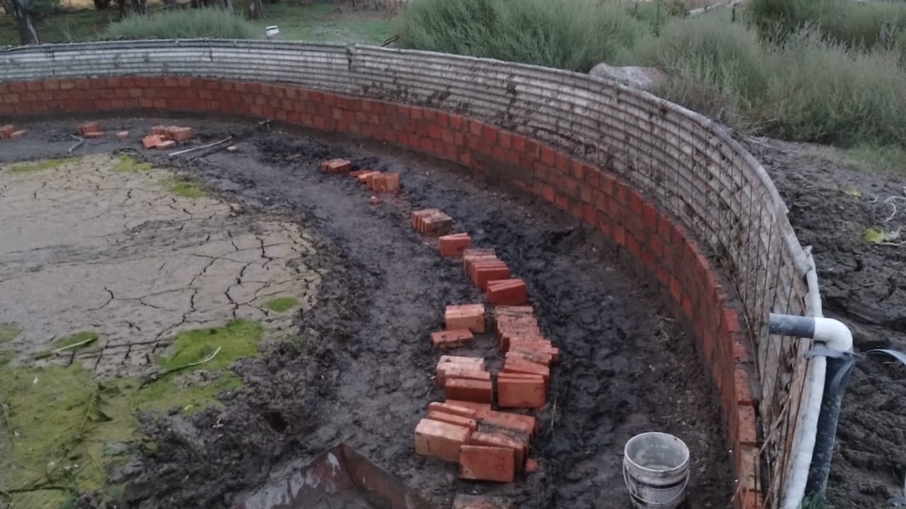 Pileta construida 1